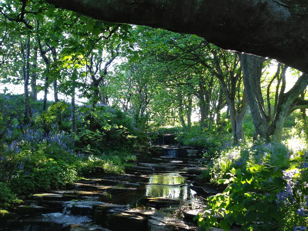 Woodwick House Bed and Breakfast Orkney Exteriör bild