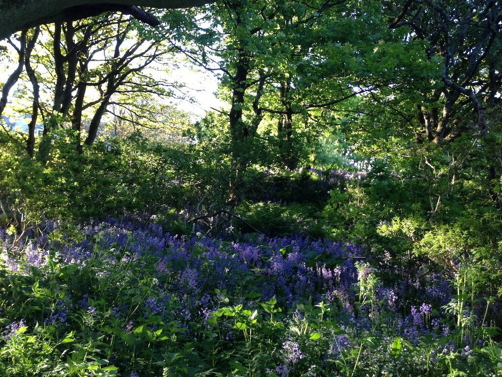 Woodwick House Bed and Breakfast Orkney Exteriör bild