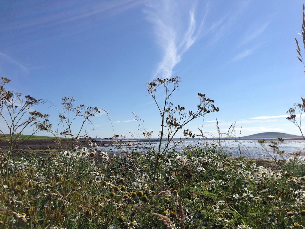 Woodwick House Bed and Breakfast Orkney Exteriör bild